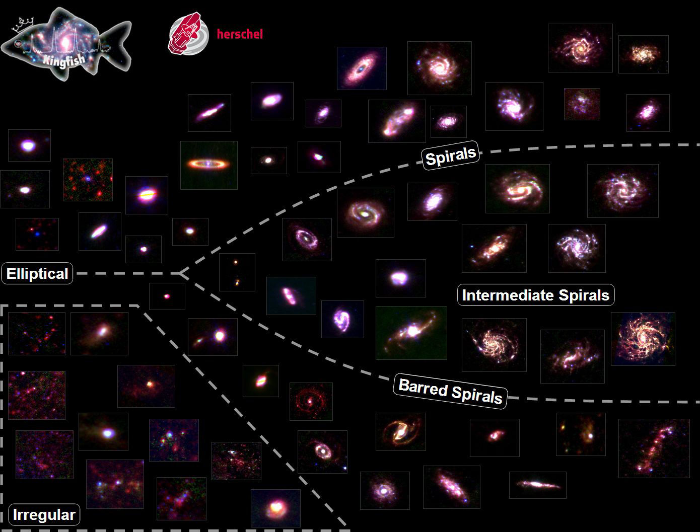 Hubble tuning fork diagram populated with infrared images of nearby galaxies. Elliptical galaxies appear on the left handle, spirals and intermediate spirals follow the upper branch, barred spirals follow the lower branch, and irregular galaxies sit below the handle.