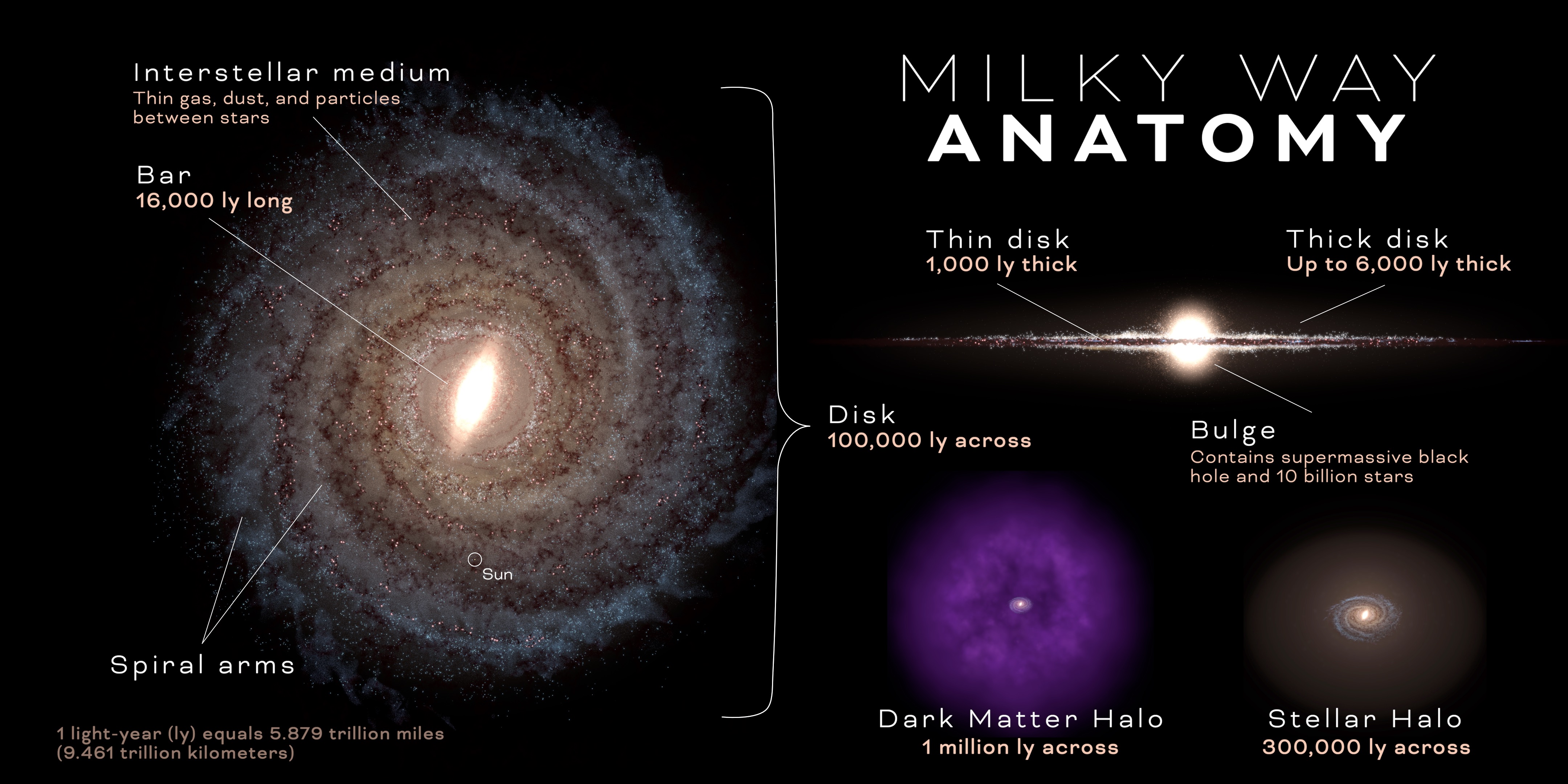 Infographic titled Milky Way Anatomy showing a face-on and edge-on view of the galaxy. Labels identify the interstellar medium, central bar, spiral arms, Sun, disk, thin disk, thick disk, bulge, dark matter halo, and stellar halo, with approximate sizes for several components.