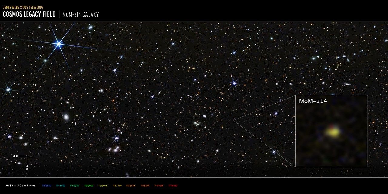 JWST deep-field image filled with many small galaxies and foreground stars, with an inset zoom labeling a faint yellow-green source as MoM-z14.