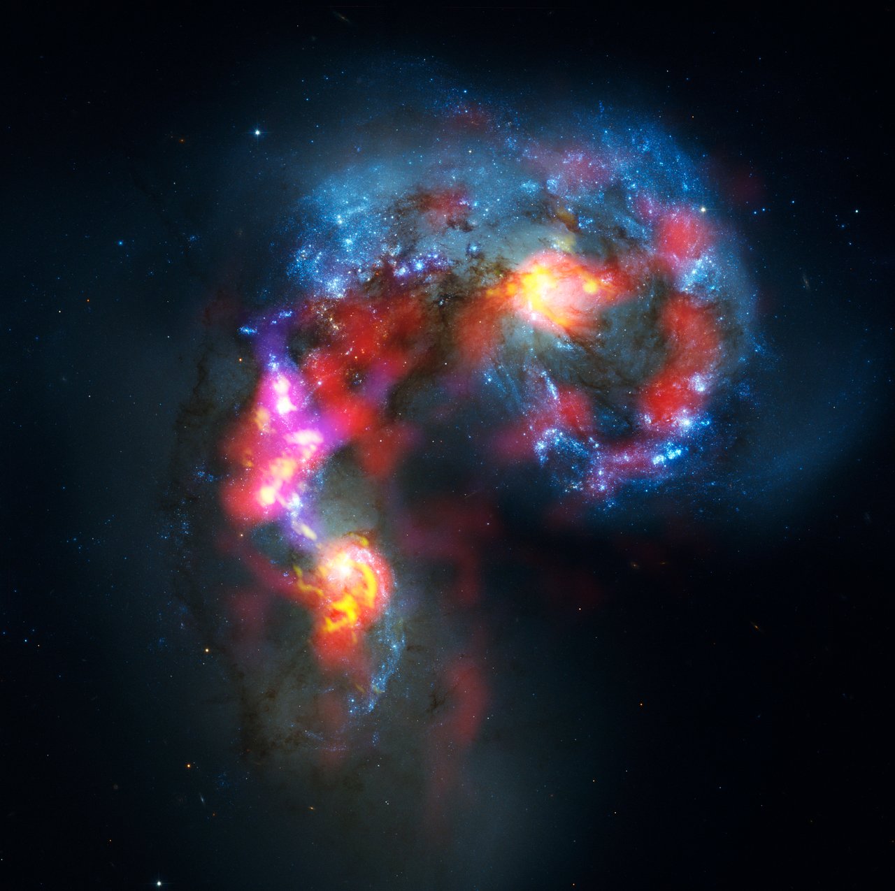 Composite image of the Antennae Galaxies merger with blue stellar light and bright red, pink, and yellow gas emission concentrated along the overlap region and tidal structures.