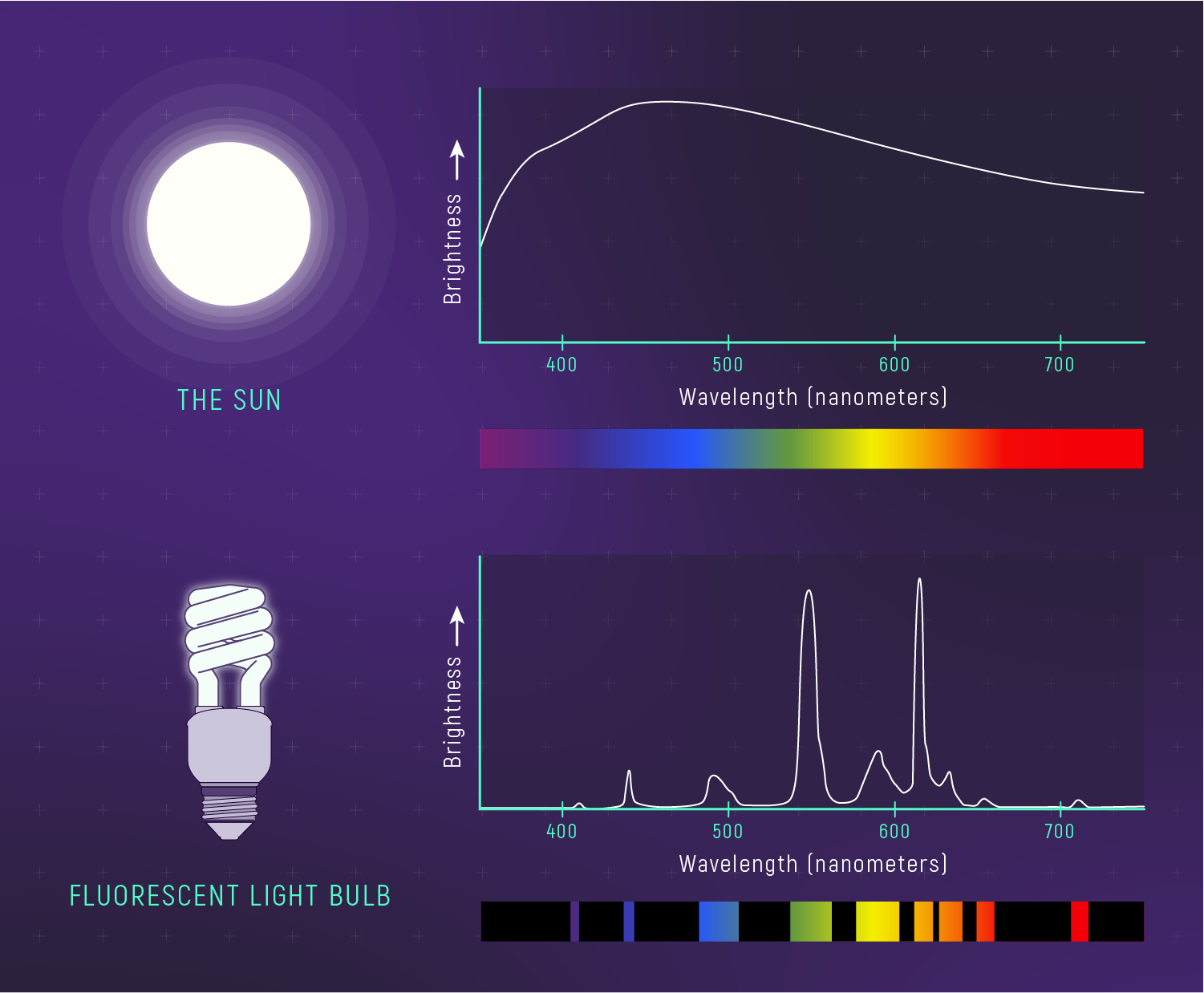 Top: Sun image with smooth continuous spectrum graph (brightness vs wavelength, rainbow bar below). Bottom: Fluorescent bulb with spiky discrete emission spectrum showing peaks at specific wavelengths.