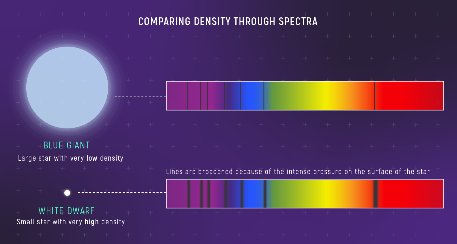Infographic titled 'Comparing Density Through Spectra' comparing a blue giant and a white dwarf. Two rainbow spectra are shown with dark absorption lines, where the white dwarf's lines are visibly broader to illustrate pressure broadening at higher density.