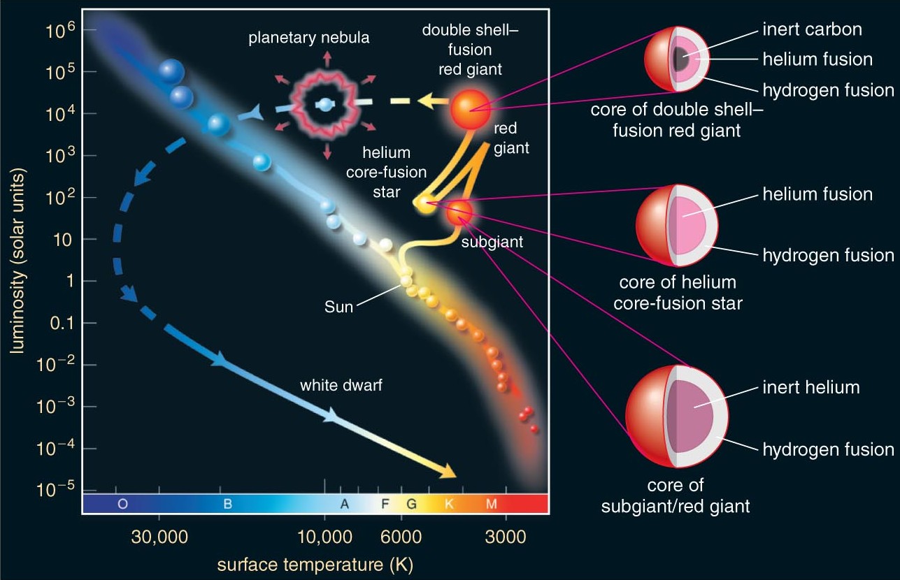 HR diagram showing a detailed evolutionary path for a solar-mass star from the main sequence to subgiant, red giant, helium-core-fusion star, planetary nebula, and white dwarf, with side cutaways labeling the changing fusion shells and inert core structure.