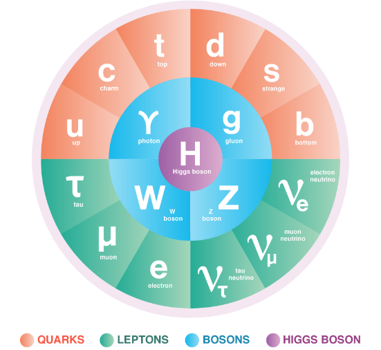Circular diagram of the Standard Model showing quarks (up, down, charm, strange, top, bottom) in orange, leptons (electron, muon, tau, and their neutrinos) in green, force-carrying bosons (photon, gluon, W, Z) in blue, and the Higgs boson in purple at center.