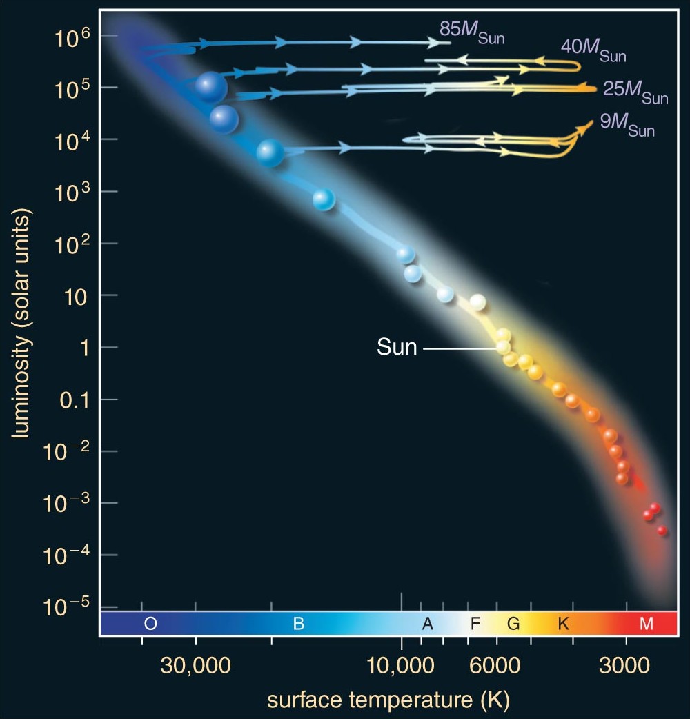 HR diagram with dark background showing the main sequence as a luminous diagonal band from lower-right to upper-left. Colored evolutionary tracks for 9, 25, 40, and 85 solar mass stars extend rightward from the main sequence into the red supergiant region, with looping paths indicating different burning phases. The Sun is labeled near the middle of the main sequence.