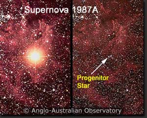 Side-by-side images from the Anglo-Australian Observatory. Left panel shows a very bright star (SN 1987A) dominating the field in the Large Magellanic Cloud. Right panel shows the same field before the explosion with an arrow pointing to the faint blue progenitor star.