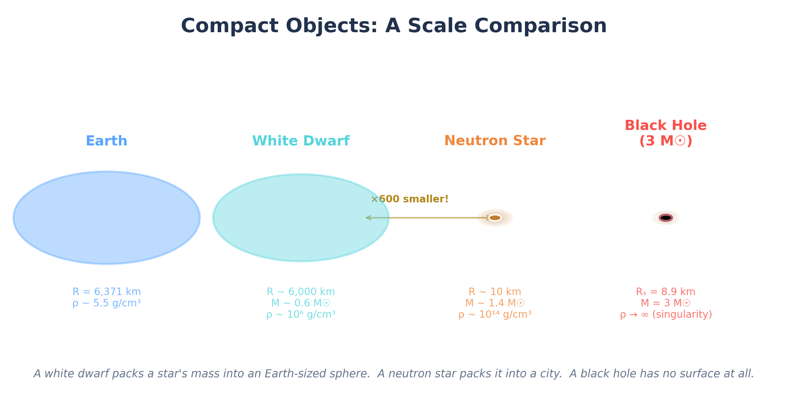 Four objects shown to approximate scale: Earth (6,371 km), white dwarf (6,000 km, 0.6 solar masses), neutron star (10 km, 1.4 solar masses), and black hole (Schwarzschild radius 8.9 km, 3 solar masses). Densities labeled for each.