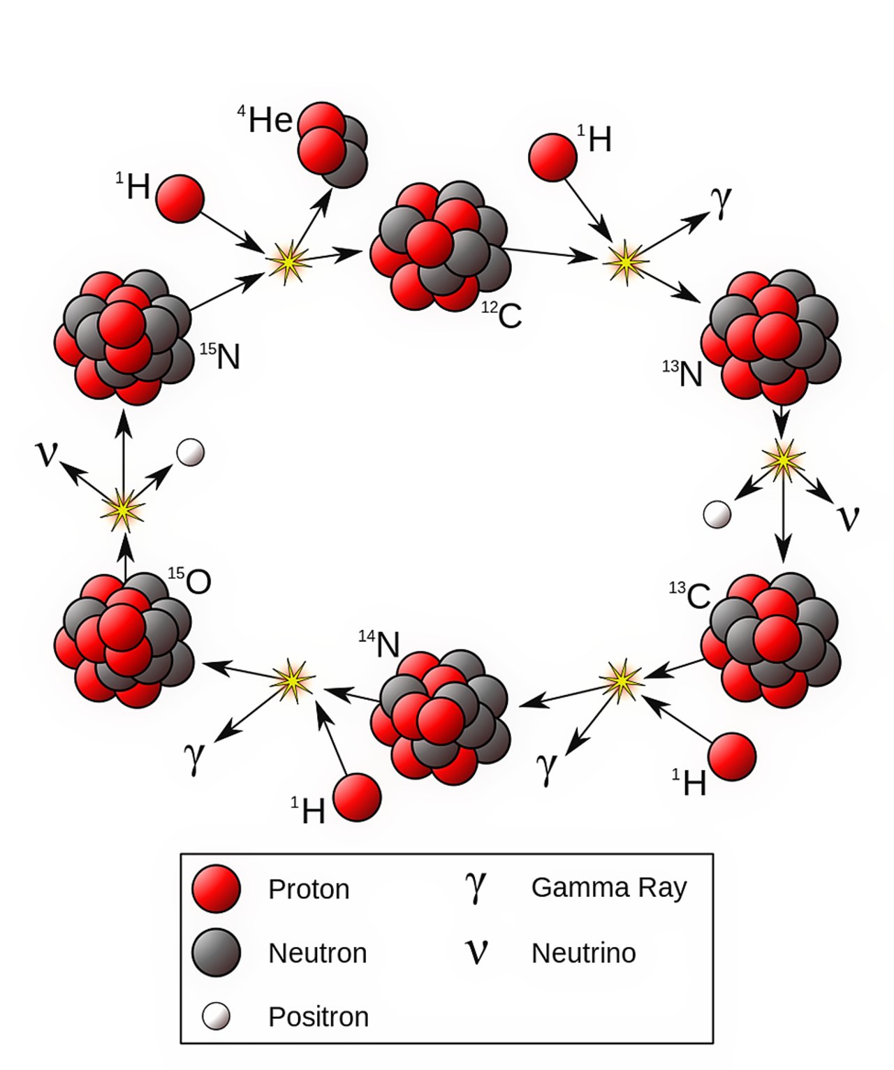 Textbook-style CNO cycle diagram showing a loop from carbon-12 through nitrogen-13, carbon-13, nitrogen-14, oxygen-15, and nitrogen-15 back to carbon-12, with proton captures, gamma rays, positrons, neutrinos, and helium-4 emission marked along the cycle.