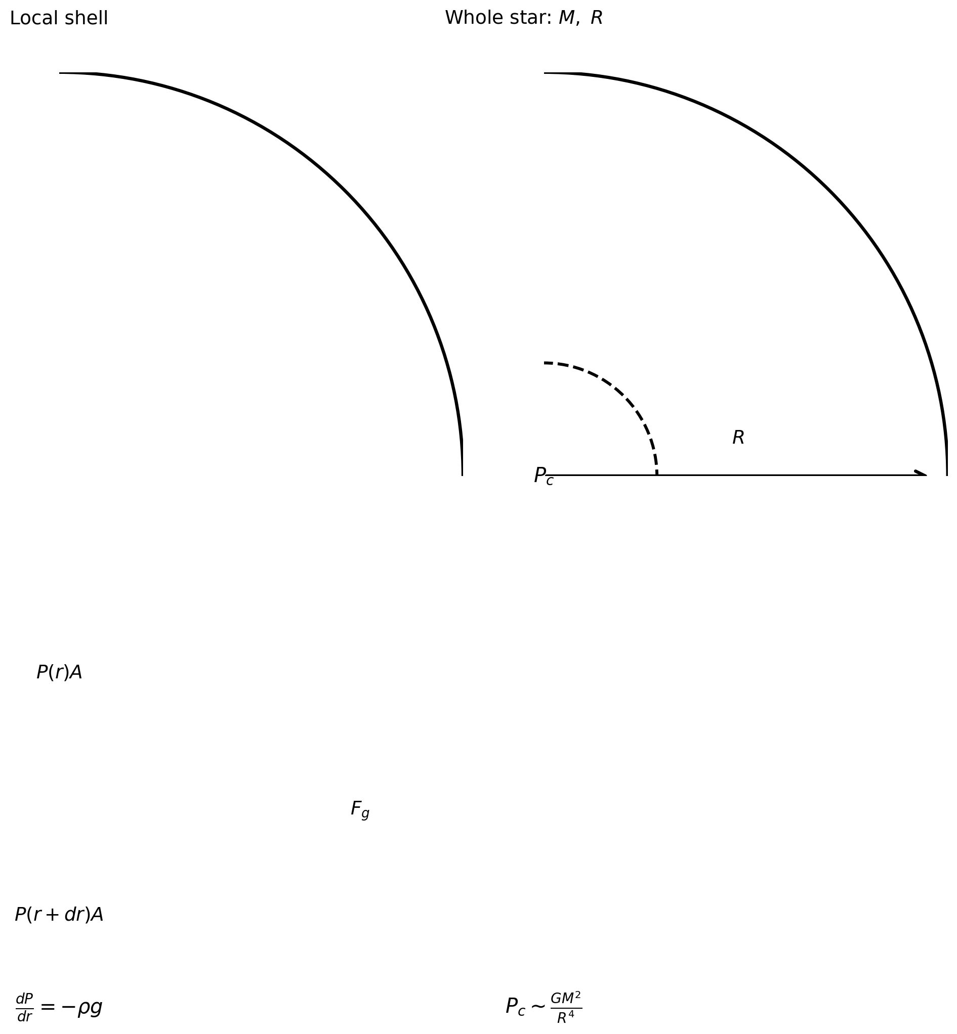 Two-panel schematic. Left panel shows a thin shell inside a star with an outward pressure force on the inner face, a smaller inward pressure force on the outer face, and inward gravity. Right panel shows a whole star labeled with mass M, radius R, and a high central pressure scale.