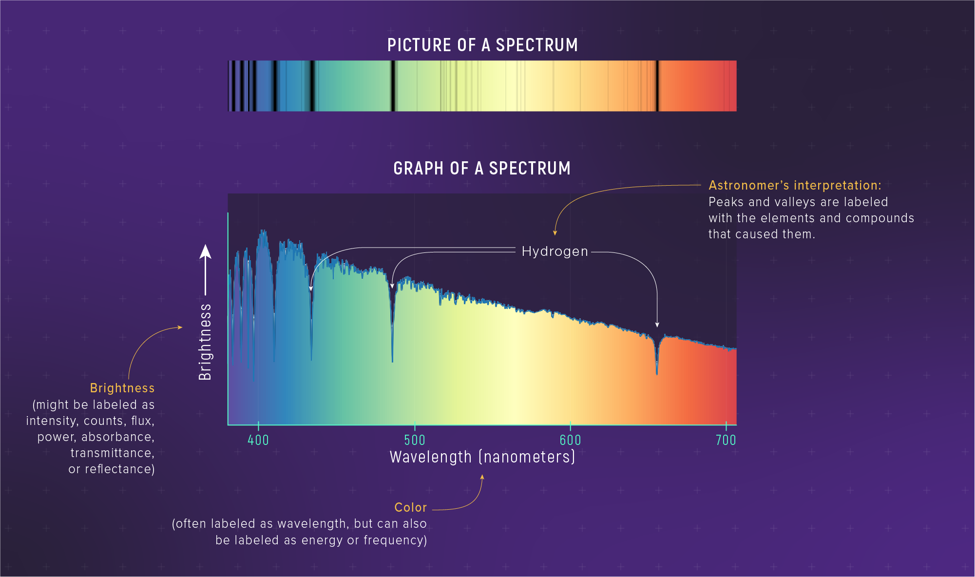 Top: rainbow spectrum image of star Altair showing dark absorption lines. Bottom: graph of brightness vs wavelength (about 400-700 nm) showing a smooth blackbody-like curve with sharp dips at absorption line wavelengths. Hydrogen Balmer lines labeled.