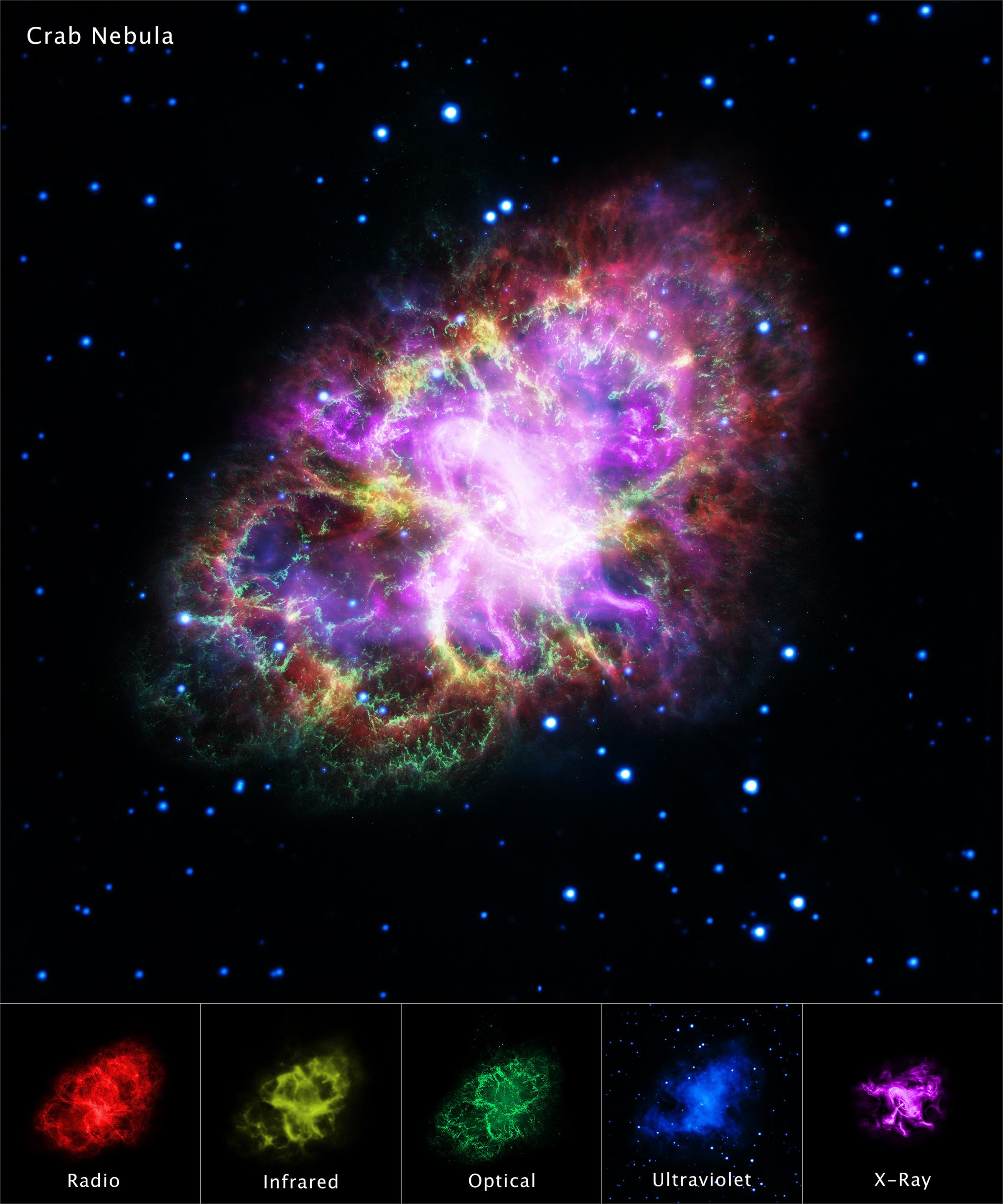 Composite image of the Crab Nebula with five individual wavelength views shown below: Radio (red, showing magnetic field structure), Infrared (yellow, warm dust), Optical (green, ionized gas filaments), Ultraviolet (blue), and X-ray (purple, hot plasma and central pulsar jets). The main image combines all wavelengths into a single colorful view.