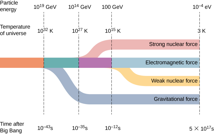 Diagram showing particle energy, universe temperature, and time after the Big Bang, with the strong nuclear, electromagnetic, weak nuclear, and gravitational forces separating across early cosmic history.