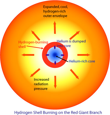 Cross-section diagram of a red giant star showing a small blue helium-rich core at center, a red hydrogen-burning shell surrounding it with arrows showing helium being deposited into the core, and a vastly larger expanded orange outer envelope. Labels indicate increased radiation pressure driving the expansion.