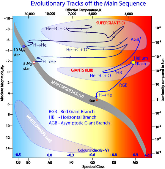 HR diagram with absolute magnitude on vertical axis and color index on horizontal axis, showing evolutionary tracks for approximately 1, 5, and 10 solar mass stars. The Sun's position is marked on the main sequence. Blue arrows trace each track through labeled phases: Red Giant Branch, Horizontal Branch, Asymptotic Giant Branch, and white dwarf region.
