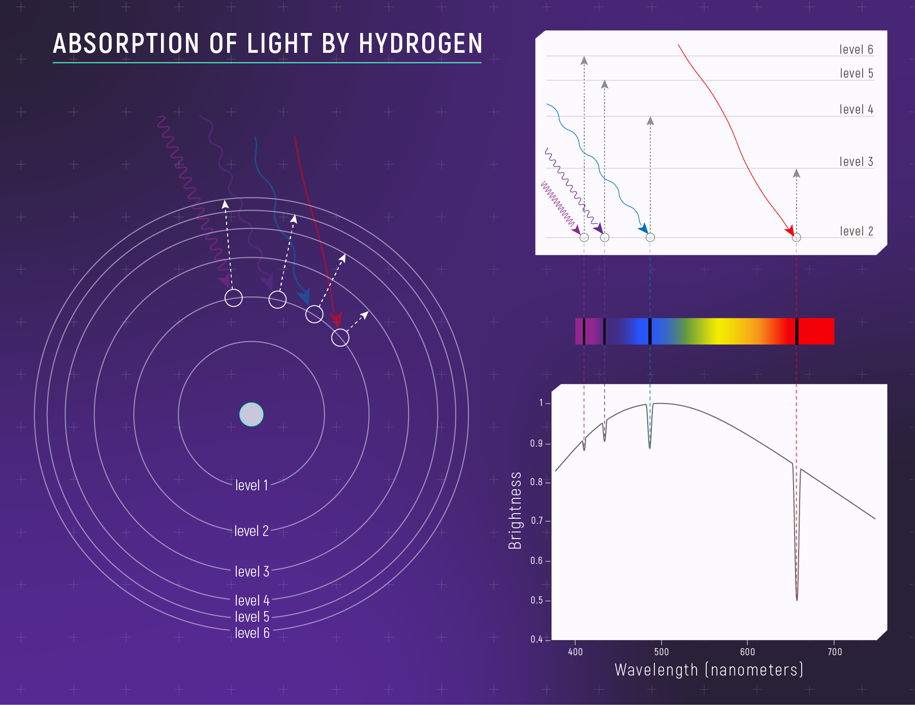 Left: Bohr model of hydrogen with electron energy levels 1-6. Right top: energy level diagram showing electron absorbing photons and jumping up. Right bottom: absorption spectrum with dark lines at specific wavelengths corresponding to transitions.