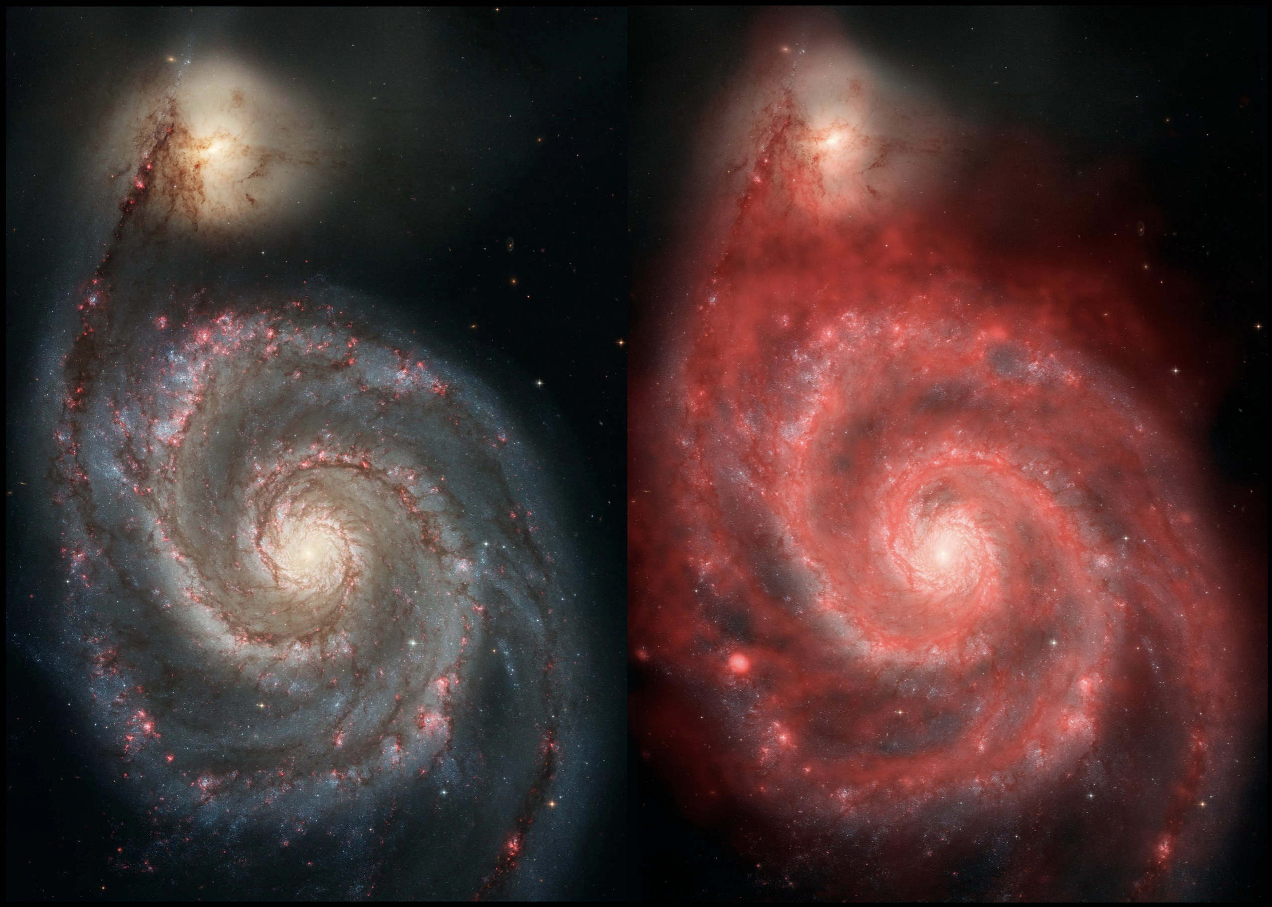 Side-by-side comparison of the Whirlpool Galaxy (M51): Left panel shows optical image with blue-white spiral arms (stars) and dark dust lanes. Right panel shows 21-cm radio emission in red/pink revealing the distribution of cold neutral hydrogen gas extending beyond the visible stellar disk.