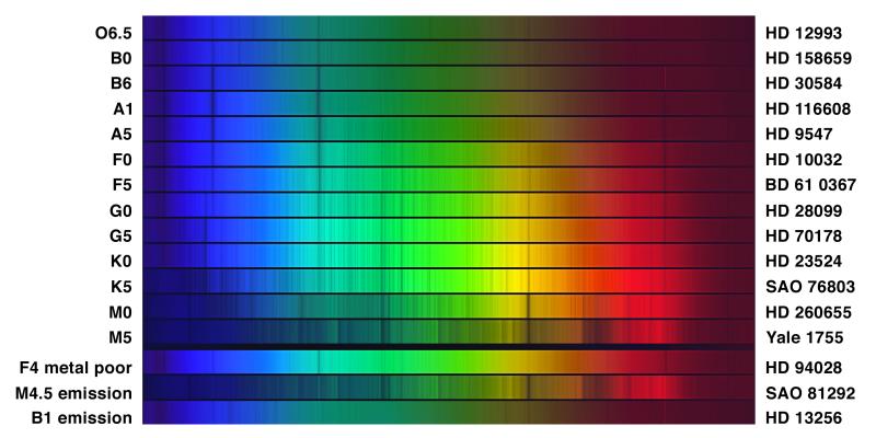 Composite image of stellar spectra arranged vertically from O6.5 at top to M5 at bottom, with wavelength increasing left to right across the visible band. Each horizontal strip shows a rainbow-colored spectrum with dark absorption lines at different positions. Star catalog identifiers (HD numbers) are labeled on the right. Three additional spectra at the bottom show an F4 metal-poor star, an M4.5 emission star, and a B1 emission star.