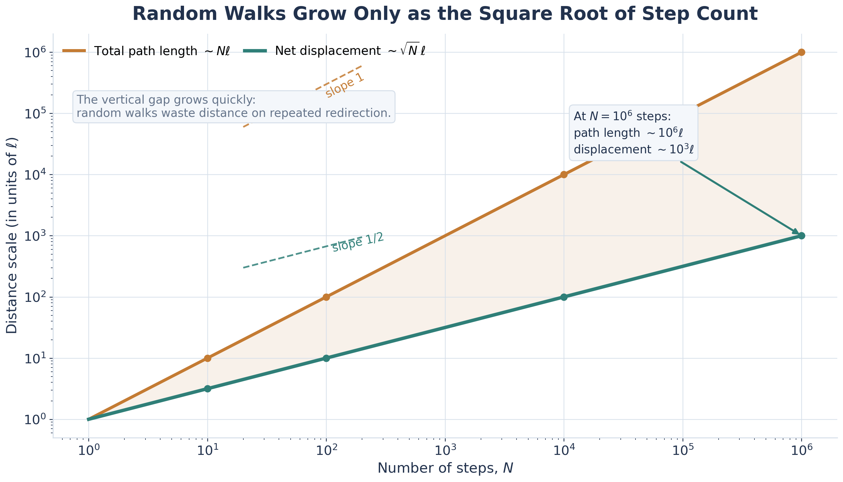 Log-log plot of distance scale versus number of steps N. One line shows total path length proportional to N times ell, and a lower line shows net displacement proportional to square root of N times ell. Callouts mark the slope 1 and slope one-half behavior and note that at one million steps the path length is about a million ell while the displacement is only about a thousand ell.