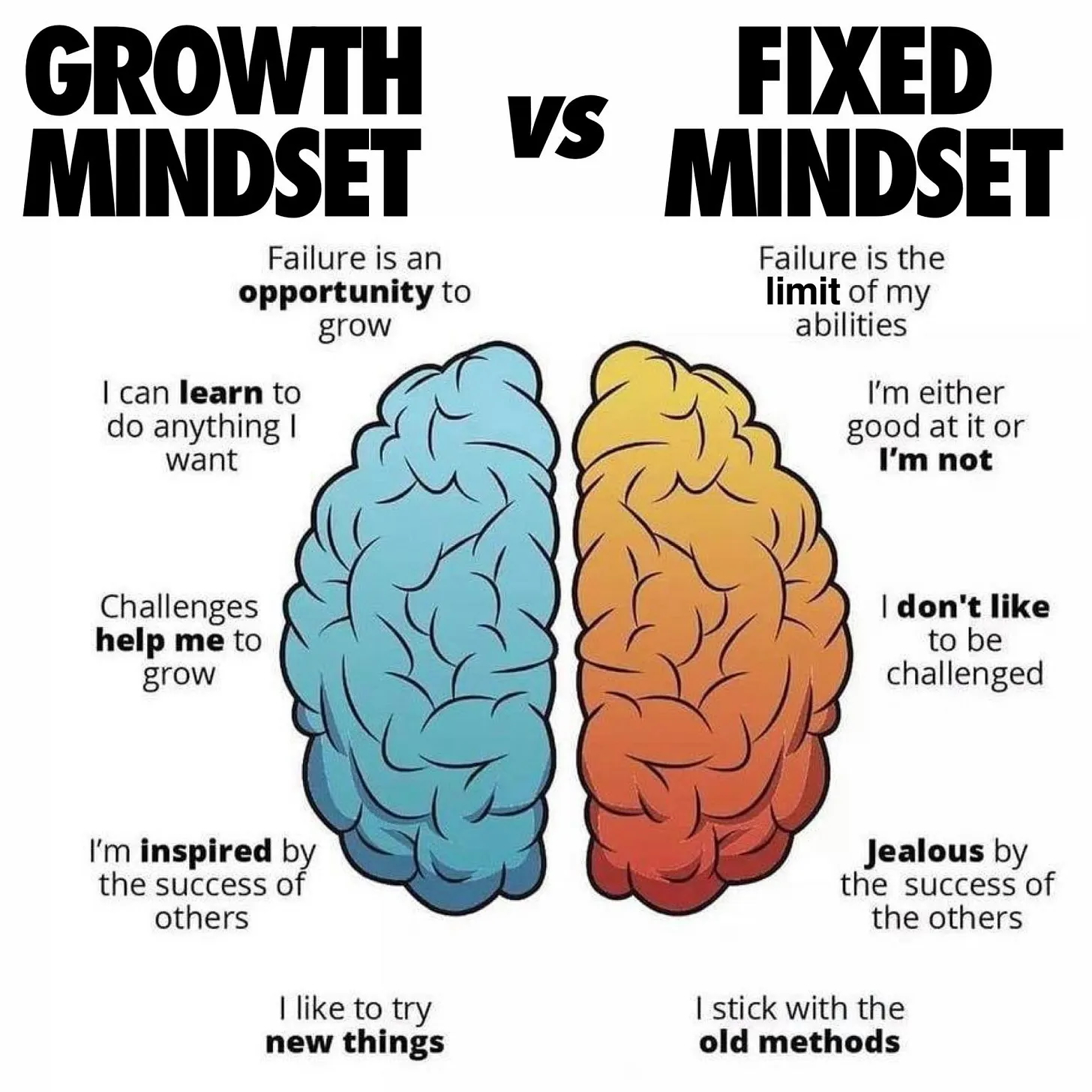 Growth vs. Fixed Mindset (image credit: lifehack.org)