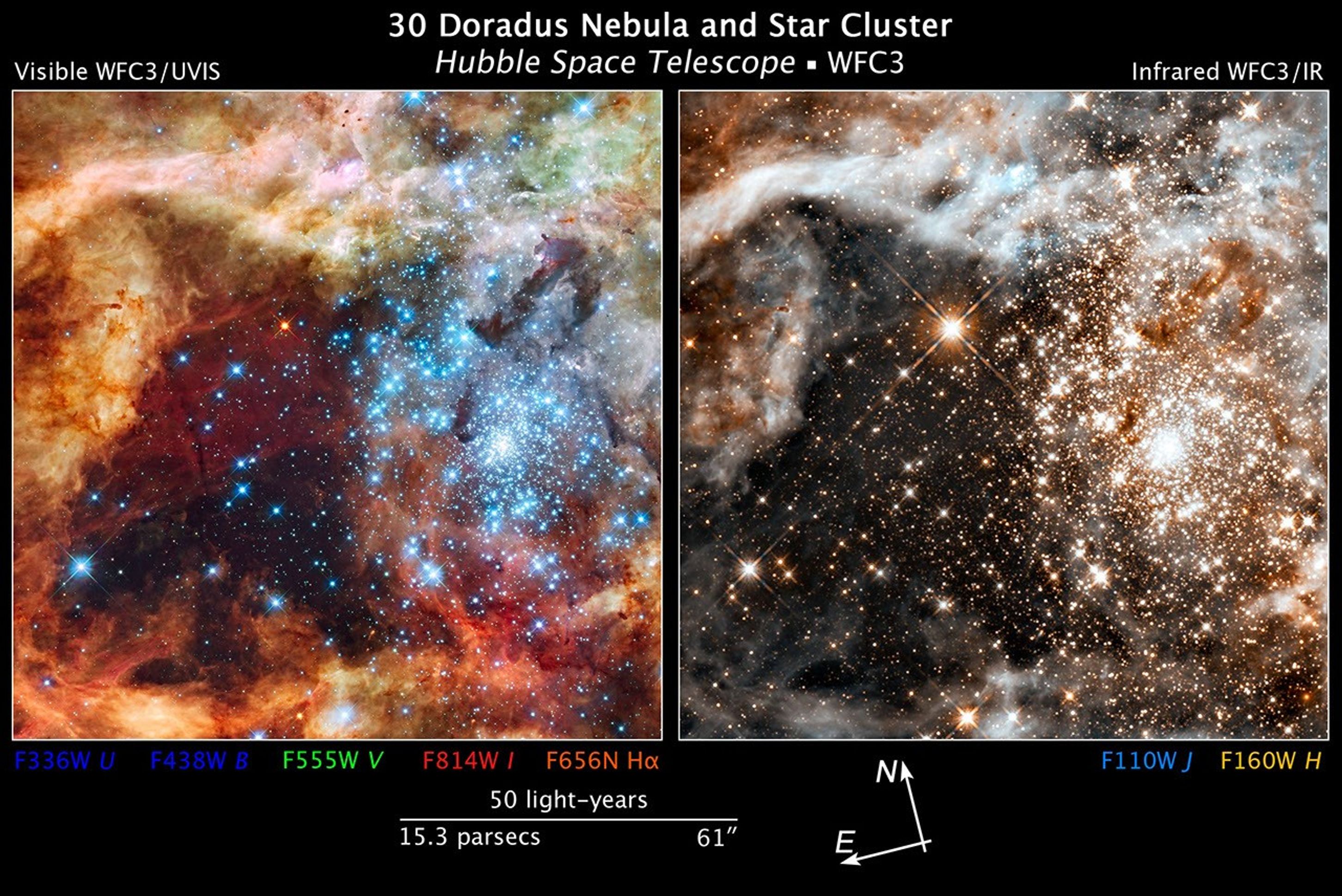 30 Doradus Star-Forming Region Across the Spectrum. This composite reveals how different wavelengths trace different temperatures and processes. Blue (UV) highlights the hottest, most massive stars (>30,000 K). Green/yellow (visible) shows intermediate-temperature stars and ionized gas. Red (near-IR) penetrates dust to reveal cooler, embedded stars and warm dust. The dark lanes that block visible light become transparent in infrared, demonstrating wavelength-dependent dust extinction. (Credit: NASA, ESA, F. Paresce, R. O’Connell, and the WFC3 Science Oversight Committee)